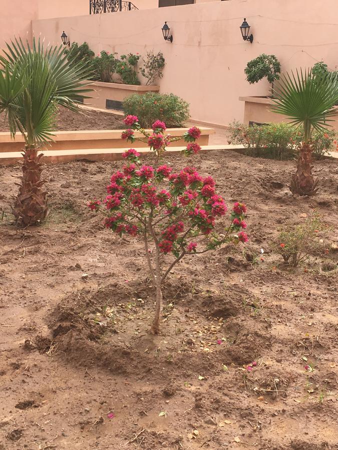 Appartement Elias Marrakech Μαρακές Εξωτερικό φωτογραφία
